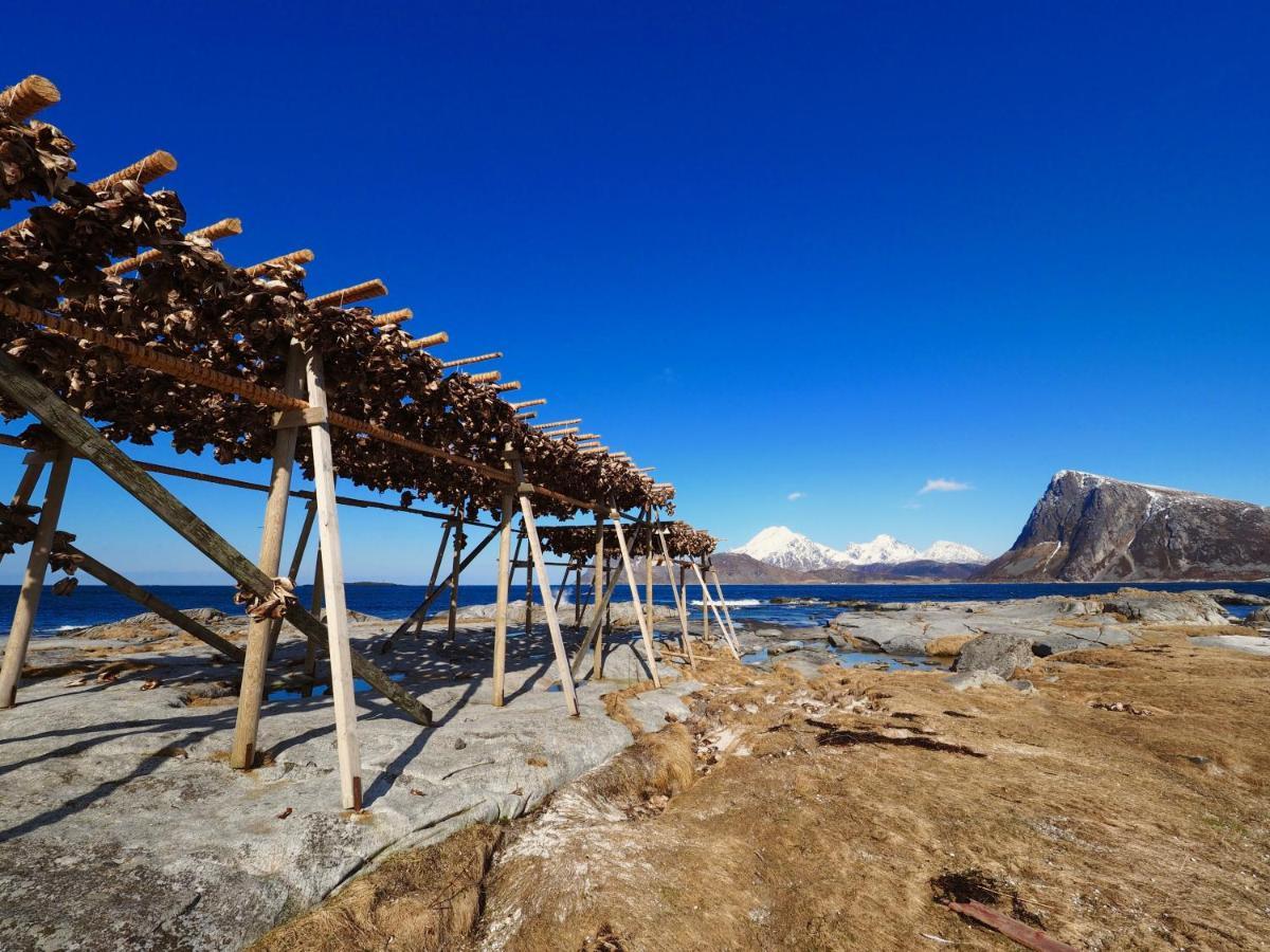 Mortsund Lodge Lofoten Leknes Dış mekan fotoğraf